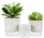 Self Watering Pots for Indoor Plants, 6 & 5 & 4 Inch Stylish Flower Pots, Set of 3 Modern Planters with Self-Watering Feature (Crack Texture)