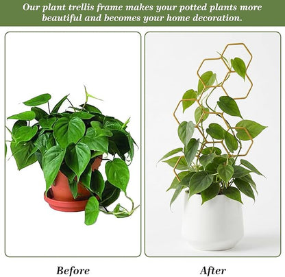 Small Trellis for Potted Plants, 14 Inch Indoor Trellis for Climbing Plants Honeycomb Shape Metal Plant Trellis for Pots Plant Climbing Support for Flower Hoya Pothos Houseplants