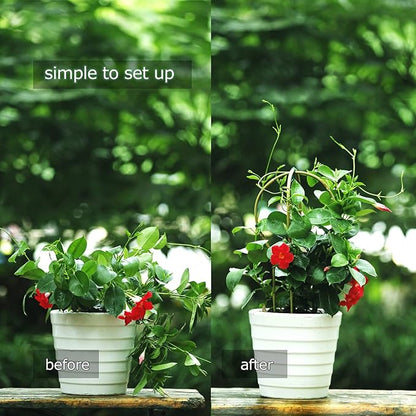 Plant Trellis Indoor 16in, Loop-Shaped Bamboo Trellis - 3 Pack for Climbing Plants, Hoya, Potted Plants