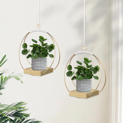 Hanging Planter for Indoor Plants, Plant Hanger with Sturdy Wood Base,Modern Boho Macrame Plant Hanger,Wall Ceiling Window Stands(Plants/Pots Not Included)
