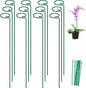FEED GARDEN 36 Inch 12 Pack Plant Support Stakes, Metal Garden Flower Stakes and Supports for Outdoor Plants, Plant Stem Support with 24 Twist Ties for Amaryllis Lily Rose Peony Tomatoes Gladiolus