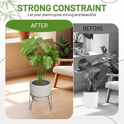 4PCS Green Iron Monstera Support, Uniquely Designed Plant Support Stakes for Indoor Plants, Stable Plant Stakes and Supports, Turtle Shell Bamboo Clamp Set for Thriving Growth