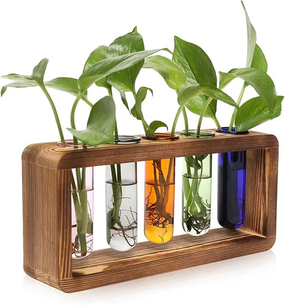 Terrarium Propagation Station with 5 Borosilicate Glass Test Tubes