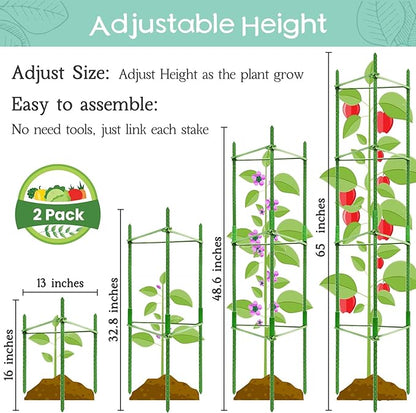 Legigo 2-Pack Tomato Cage for Garden Plant Support- Up to 63inch Garden Stakes Tomato Cage, Tomato Trellis for Potted Plants, Tomato Cages Plant Stakes for Climbing Vegetables Plants Flowers