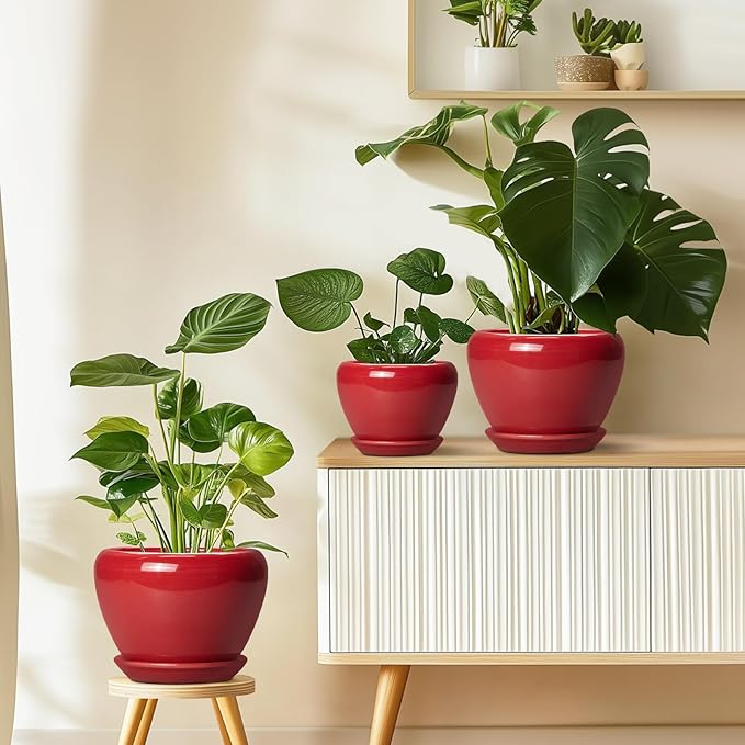 6 Inch Plant Pot - Glaze Modern Ceramic Planter for Indoor Plants, Succulent Pot with Drainage Hole and Saucer, Office Garden Home Decor, Housewarming Gift, Red