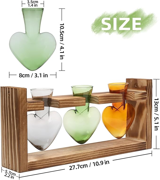 Terrarium Set: Heart Shaped Borosilicate Glass Vases with Wood Stand