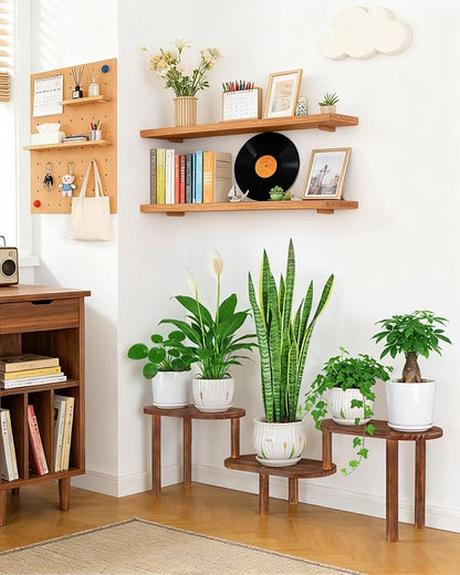 Concave Plant Shelf Indoor,3 Tiers Deformable Oval Plant Stand,Heavy Duty Long Flower Pot Stand for Multiple Plants,Low Plant Holder for Patio Balcony Living Room Office