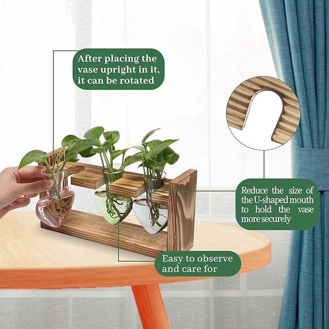 Terrarium Set Heart Shaped Glass Vases with Wood Stand, 3 Pieces
