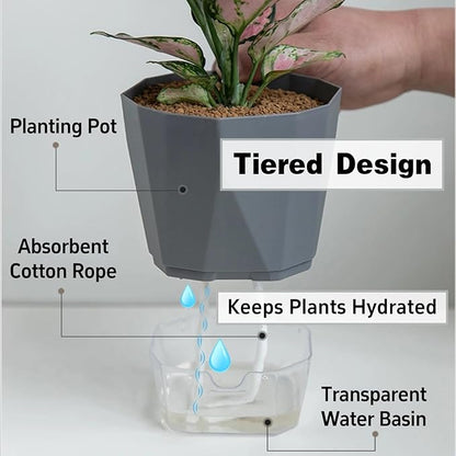 3 Packs Self Watering Plant Pots, Plastic Flower Pots with Drainage Hole and Saucer, Self Watering Planters for Indoor Outdoor Garden Plants, African Violet, Herbs (White, 6.7")