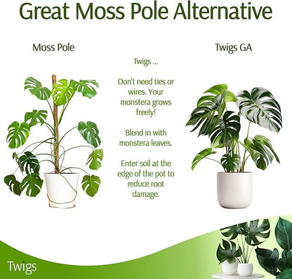 Stackable Monstera Plant Support Stakes, Climbing Support for Indoor & Outdoor Use, Plant Accessories, Aesthetic Alternative to Moss Poles & Trellises – Monstera Green, 5 Pack, 17" L