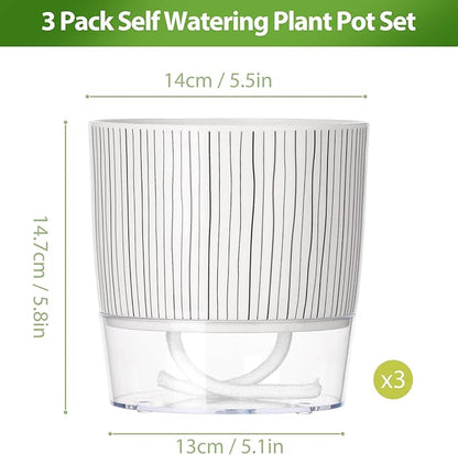 3 Pack Self Watering Pots Set, 5.5 Inch Self Watering Pots for Indoor Plants, Planter Pot with Wick Rope and Reservoir for African Violet, Spider Plant, Orchid