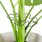 6PCS Iron Monstera Plant Support, Uniquely Designed Indoor Plant Accessories, Stable Plant Support Stakes for Indoor Plant, Turtle Shell Bamboo Clamp Set for Thriving Growth