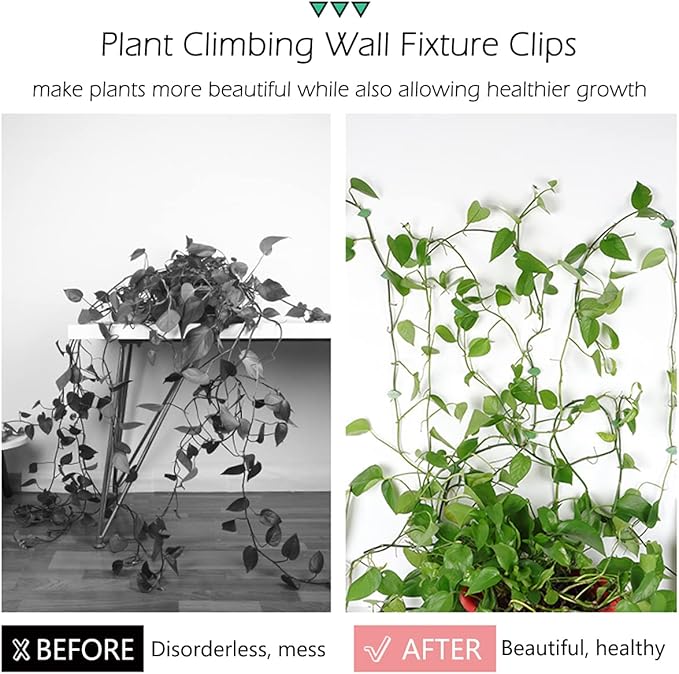 40 Pcs Plant Climbing Wall Fixture Clips Self-Adhesive Hook Vines Traction Clips Invisible Holder Garden Green Leaf Simulation Self-Adhesive Hook Wire Fixing Supporting