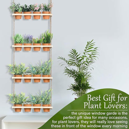 4 Tiered Window Plant Shelves Hanging Herb Planter Indoor Display with 16 Pcs Flower Pots Wood Window Plant Hanger for Grow Herbs Succulents Microgreens Seedling Organization
