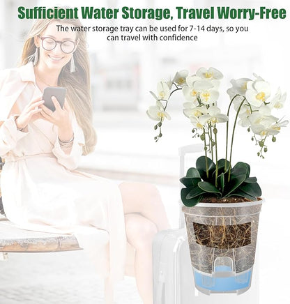 Cdd's Path 5-Pack 6 Inch Self Watering Naked Root Planter Pots with Drainage Holes & Reservoir, Plastic Planters with Air Pipes for Indoor Outdoor Plants，Clear