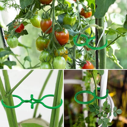 Hysagtek 120 Pcs Large Garden Plant Clips Tomato Clips Plant Locks Clips Vegetables Vine Flower Clips Tomato Ties for Securing Plants
