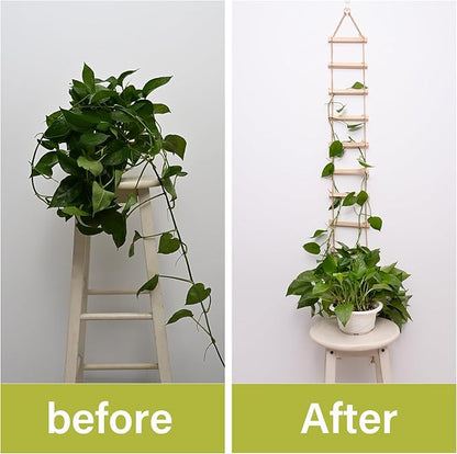 2PCS Chain Trellis for Climbing Plants - Natural Wood Indoor Plant Support, Durable 6.5 Inch by 4 Feet Design, Perfect for Pothos, Ivy, and Vines with Easy Installation Hook