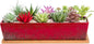 Succulent Pots - Large Succulent Planter Pots with Drainage, 12 Inch Long Rectangle Bonsai Pot with Bamboo Tray Shallow Ceramic Cactus Flower Planter Window Box for Home Garden Decor (Red)