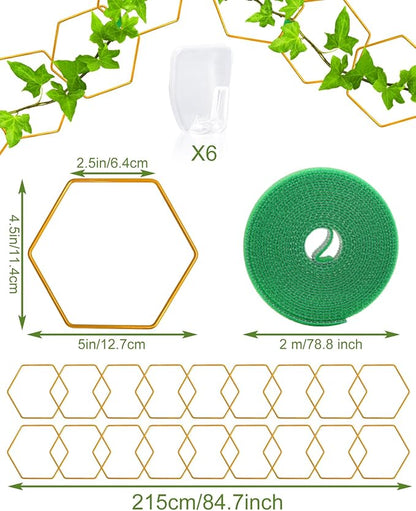18 Pcs Chain Trellis for Climbing Plants, Potted Houseplant Accessories for Hoya, Ivy, Monstera, 6-Corner DIY Wall Trellis Plant Support with Hooks and Ties Indoor Outdoor(Gold)