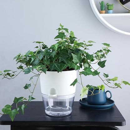 6 Inch Self Watering Plastic Plant Pots for Indoor Plants - 3 Pack White Orchid Planters with Wick Ropes & Drainage Holes, Modern Decorative Garden Pots with Water Reservoir