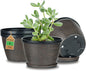 Quarut 4 Pack 6 Inch Flower Pots for Outdoor Indoor, Plastic Plant Pots with Drainage Hole & Saucer, Lightweight Small Flower Pot, Circle Pattern Planters for Garden House planters（Brown）