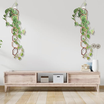 18Pcs Chain Trellis for Climbing Plants, Indoor&Outdoor Garden Wall Trellis, Plant Vine Support Wooden Potted Plant Trellis for Monstera, Pothos, Ivy