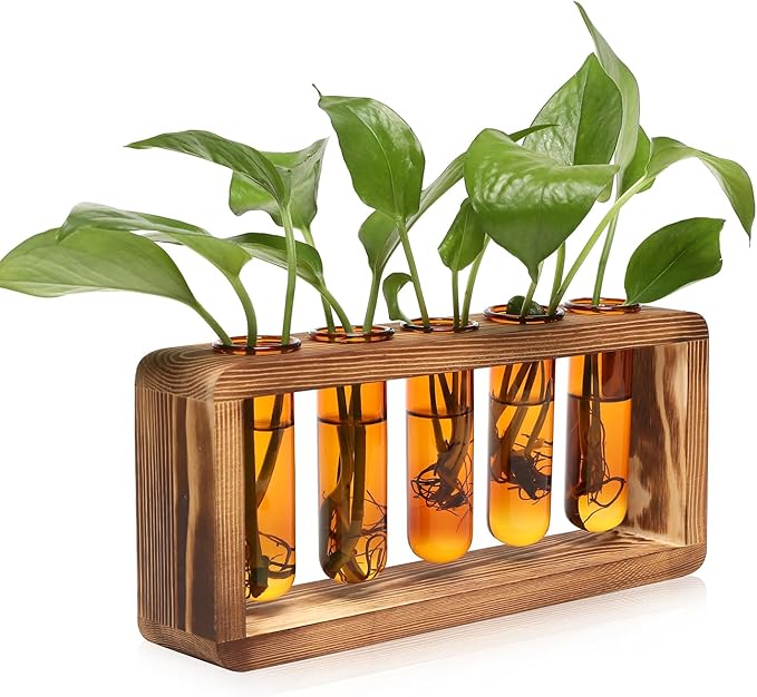 Terrarium Propagation Station with 5 Amber Glass Test Tubes and Pine Base