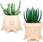 Domensi 2 Pcs Swing Hanging Planter Cute Smile Flower Face Pot Indoor Outdoor Pots for Succulent String of Pearls Plants Plant Ideal Gifts for Christmas Birthday(Sit Mixed Shapes,Small)