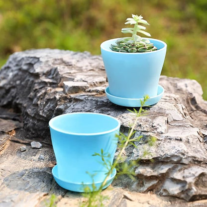 TDHDIKE 10 Pcs Plastic Planters Indoor Flower Plant Pots, Mini Flower Seedlings Nursery Pot/Planter/Flower Pot with Pallet, Modern Decorative Gardening Containers (Blue)