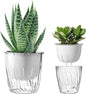 Self Watering Planters - 2 Pack, 6 Inch Transparent Flower Pots for Indoor Plants, Perfect for African Violet, Monstera, Succulents, Herbs & Decorative Flowers
