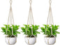 USLAI Macrame Plant Hanger Indoor Outdoor, Fits 4 to 15 Inch Pots, Strong Hanging Planter Holder, Boho Home Decor, 35 Inch, Ivory, Set of 3 (POTS NOT Included)