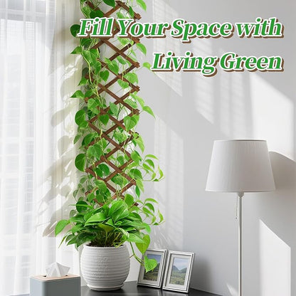 Pack of 2 Extra Thick Wooden Wall Trellis- Expandable Wall Planter Lattice Panels for Climbing Plants, Hanging Vertical Plant Support Fence Frame Outdoor Indoor for Balcony Patio Garden Room