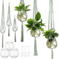 6 Pcs Plastic Plant Propagation with Boho Macrame Hanger Wall Plant Propagation Station Hanging Holder Include Hooks Kit for Indoor Home Garden Office Decor 3 Size (Sage Green)