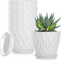 5 Inch Planter Pots, 6 Pack Indoor Planters, Small Flower Pots with Drainage Holes and Tray for Succulents, Orchids, Herbs and Other Indoor Plants (White, 5inch)