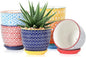 Selamica Ceramic Succulent Pots, 4.6 Inch Small Plant Pots with Drainage Holes & Saucers, Succulent Planters for Indoor Plants Cactus, Home Decor, Set of 6, Assorted Colors