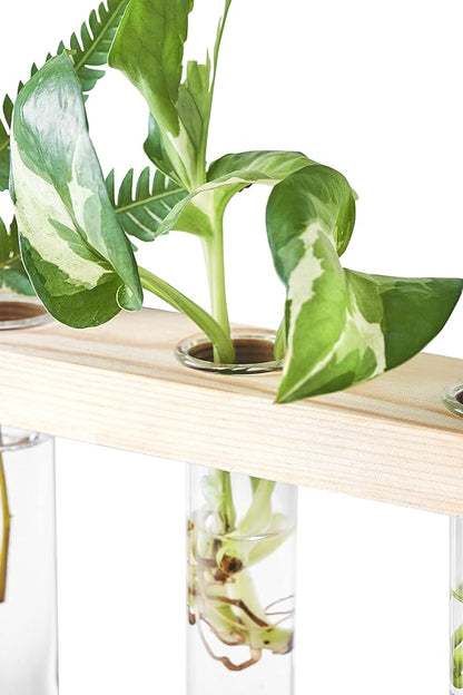 Mkono 3 Tiered Wall Hanging Plant Terrarium with Wooden Stand, Glass Planter for Hydroponic Plant Cutting, Home Garden Office Decor, Gift