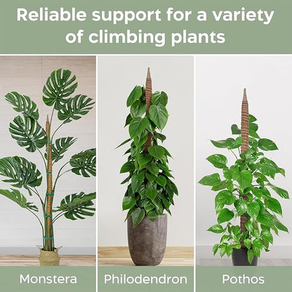 4 Pack 48'' Bendable Moss Pole Monstera Plant Support for Climbing Indoor Plants - Stakes for Potted Climbers - Tall Sticks Indoor Trellis for Houseplants - Accessories for Monstera Pot