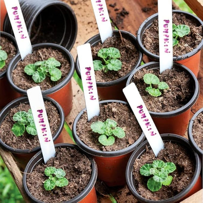 TDHDIKE 4" Small Plastic Plant Nursery Pot/Pots (100pcs) Seedlings Flower Plant Container Seed Starting Pots , Come with 100pcs Plant Labels