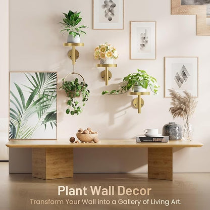 YUOROS 3 Pack Wall Plant Holder Stand Wall Planters for Indoor Plants Hanging Window Plant Hanger Decor (Gold)