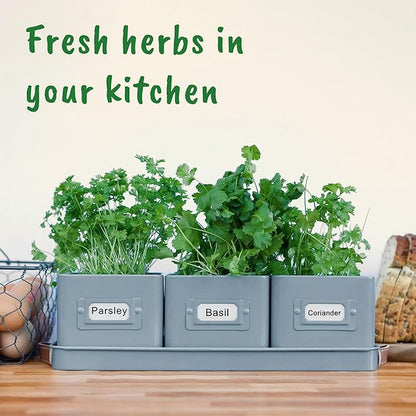 volila Herb Planter Indoor - Set of 3 Teal Blue Indoor Herb Garden Pots for Plants with Leather Handled Tray - Window Sill Plant Shelf - Herb Pots with Drainage Holes and Labels