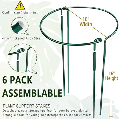 6 Pack Detachable & Assemblable Metal Plant Support Stakes - Garden Support Ring, Tomato Seedling Cage, Young Monstera/Pothos for Growing Indoor/Outdoor (10" W x 16" H)