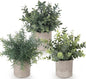 Lemonfilter Small Fake Plants, 3PCS Mini Potted Artificial Plastic Eucalyptus Plants Indoor Modern Farmhouse Decor, Fake Potted Plant for Home Bathroom Bedroom Office Shelves Decor