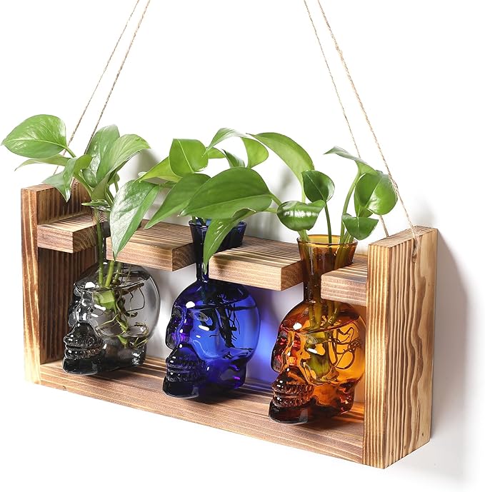 Terrarium Propagation Station Set, Skull Glass Vases with Wood Stand, 3 Pieces