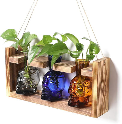 Terrarium Propagation Station Set, Skull Glass Vases with Wood Stand, 3 Pieces