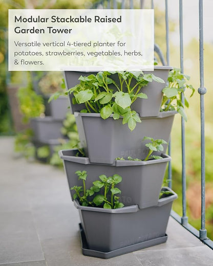BUZZY Seeds Starter Stackable Vertical Planter – 4-Level Raised Garden Tower for Potatoes, Strawberries, Vegetables & Flowers (Gray)