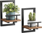 Floating Shelves for Wall, Plant Shelf Indoor, Wall Planters for Indoor Floating Plant Shelves for Bedroom, Living Room, Kitchen, Office, Bathroom Decor (2 Pack)