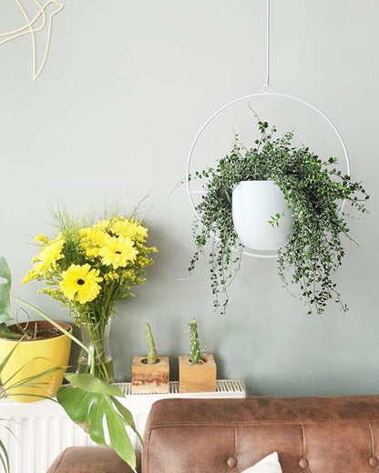 2 Pack Hanging Planters for Indoor Outdoor Plants Modern Metal Plant Hangers, Wall and Ceiling Hanging Plants Baskets Mid Century Minimalist Flower Pots Home Decor (White)