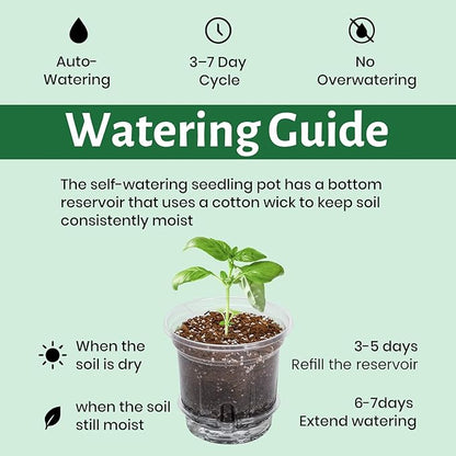 18 Pack 6.5/5/4 Inch Clear Self Watering Plant Pots with Bottom Water Tray & Watering Rope, Transparent Nursery Pots with Drainage for Seedlings, Herbs, and Houseplants