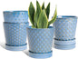 EFISPSS Plant Pots,5 Inch Pots for Indoor Plants,Planters with Drainage Hole and Saucer, Ceramic Flower Pots Desktop Office Windowsill Decoration Gift Set of 4 - Sky Blue
