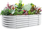 Land Guard 4×2×1.5ft Galvanized Raised Garden Bed Kit, Galvanized Planter Garden Boxes Outdoor, Oval Large Metal Raised Garden Bed for Vegetables……… (Classic Silver